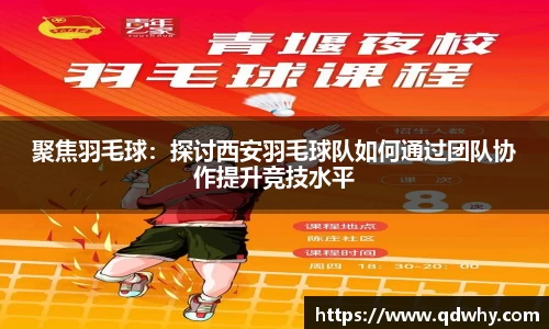 聚焦羽毛球：探讨西安羽毛球队如何通过团队协作提升竞技水平