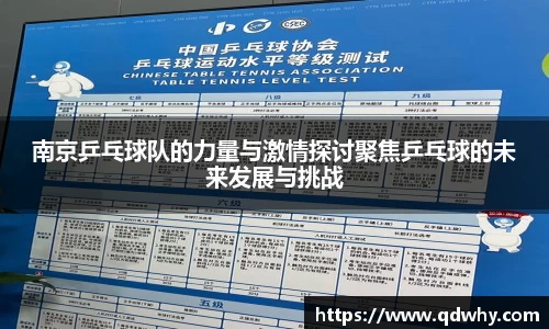 南京乒乓球队的力量与激情探讨聚焦乒乓球的未来发展与挑战
