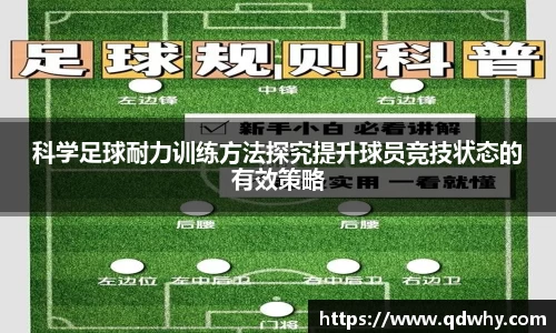 星空·综合体育中国官网