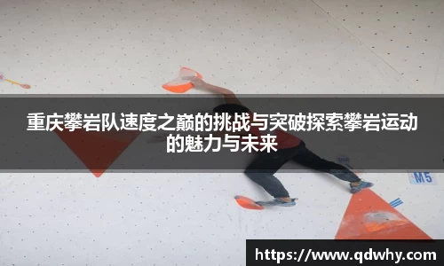 重庆攀岩队速度之巅的挑战与突破探索攀岩运动的魅力与未来