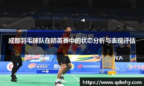 成都羽毛球队在精英赛中的状态分析与表现评估