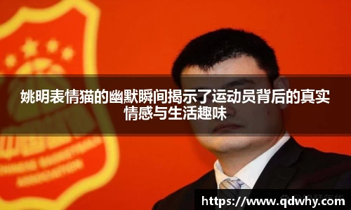 姚明表情猫的幽默瞬间揭示了运动员背后的真实情感与生活趣味