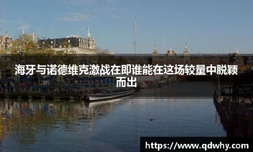 星空·综合体育