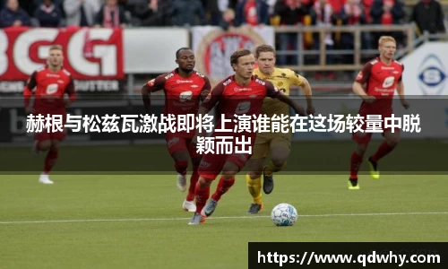 赫根与松兹瓦激战即将上演谁能在这场较量中脱颖而出